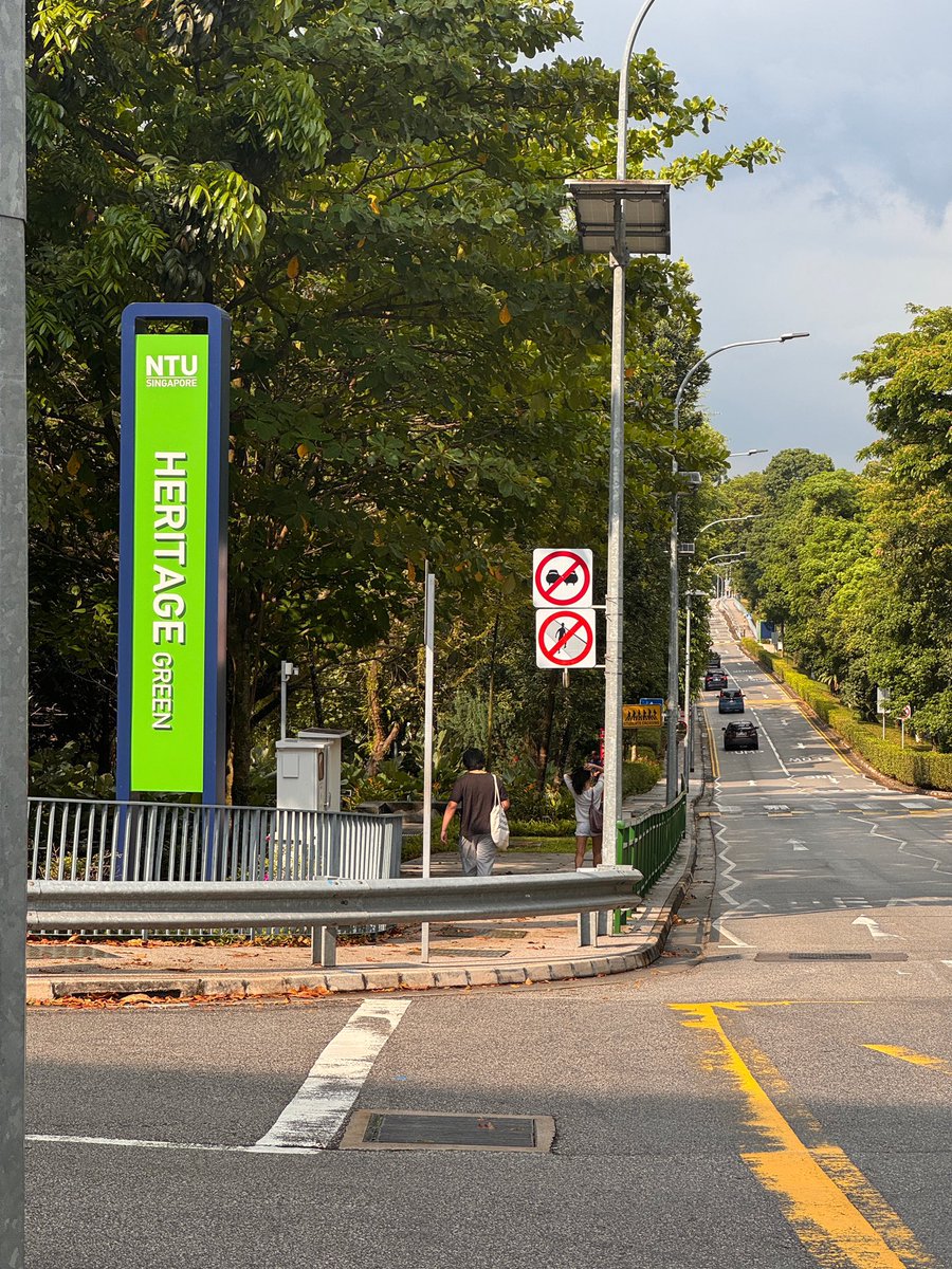 新加坡_珠珠🇸🇬 tweet media