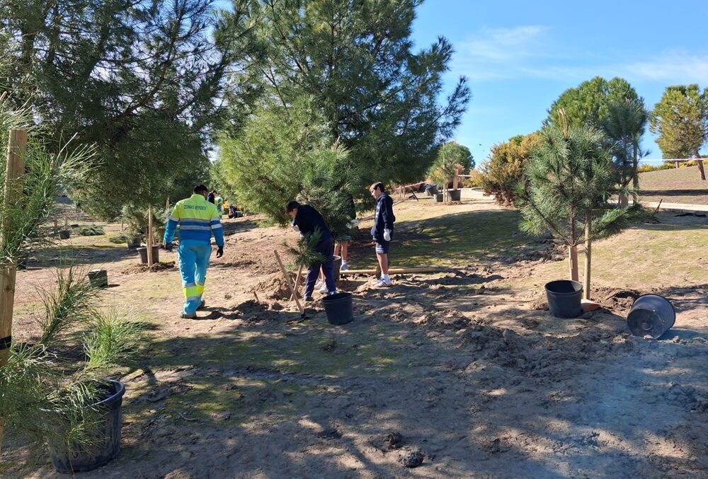 Ayuntamiento Madrid tweet media