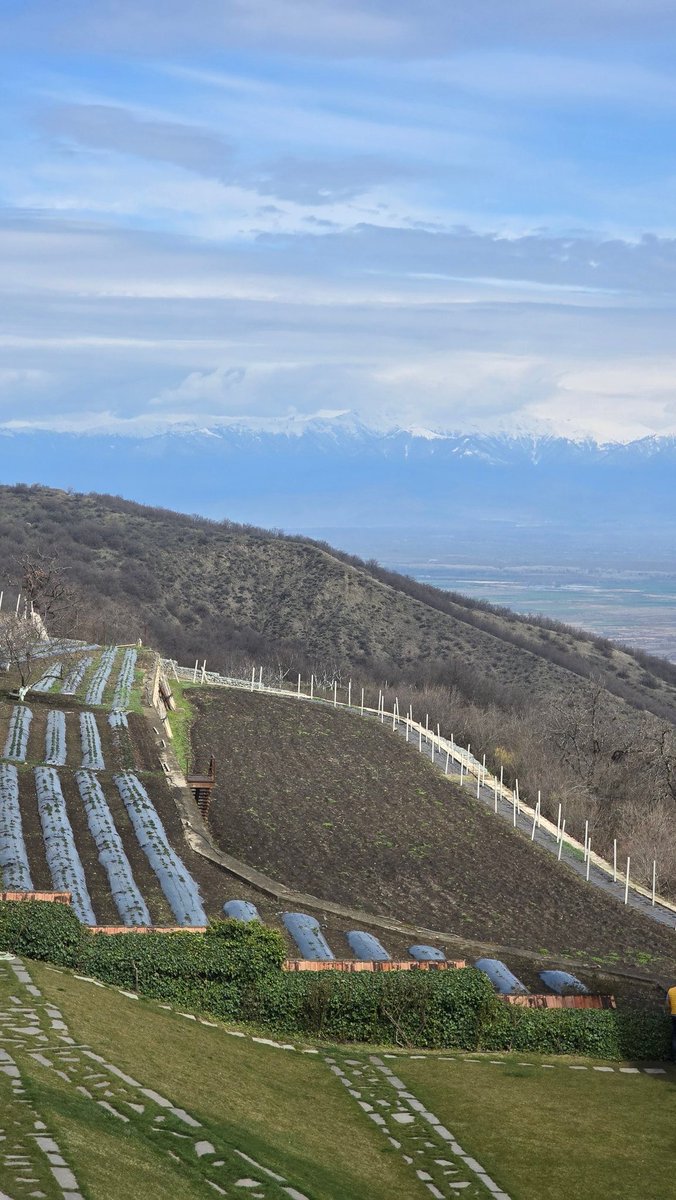 Ulaş Gökçe tweet media