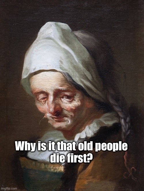 carol Jefferies tweet media