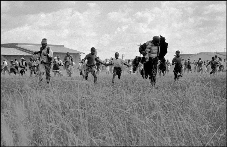 Phumzile Van Damme tweet media