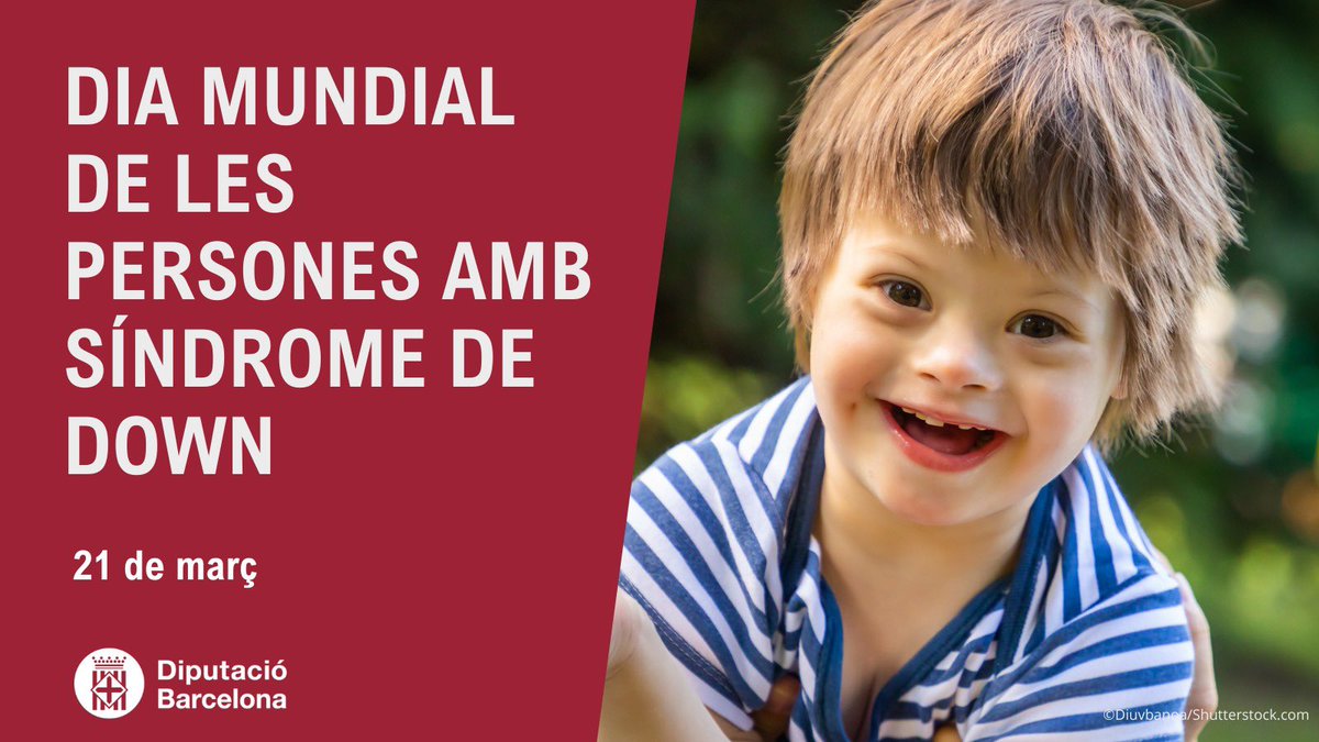 Sostenibilitat Social, Cicle de Vida i Comunitat tweet media