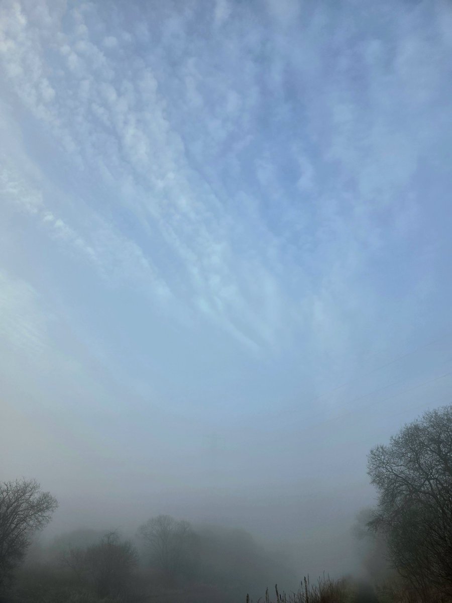 Craig Colligan tweet media