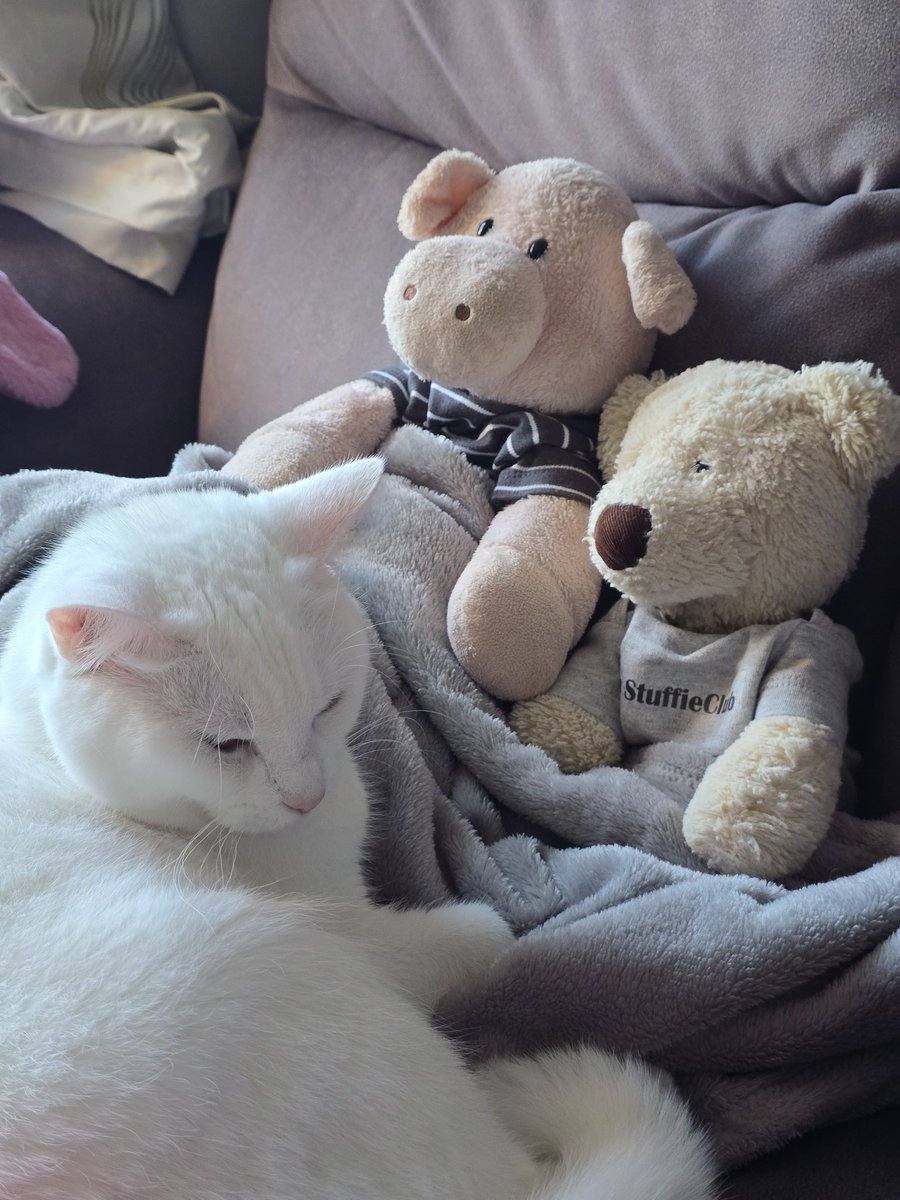 Peragwin tweet media