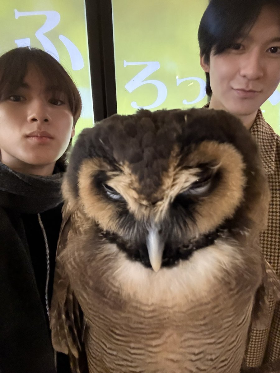 ญี่ปุ่นที่มีเธอ มันดีจังเลยเนาะ :𓈒 🗻}

༉‧₊˚. #ryujinpatji #ริวจินแพทจิ 
#DMDChillDayInJapan