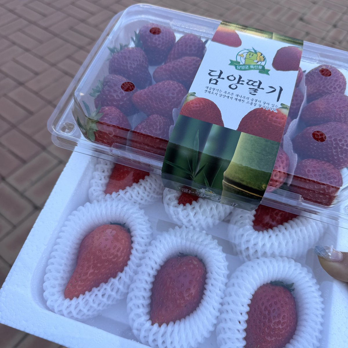 김서아 tweet media