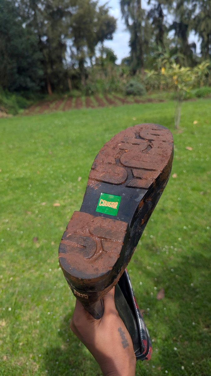 Adelle Onyango tweet media