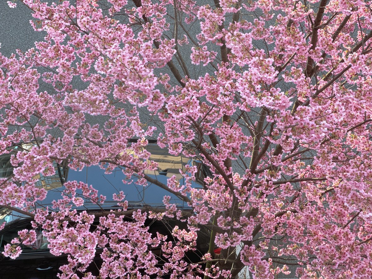 Sosuke1005 tweet media