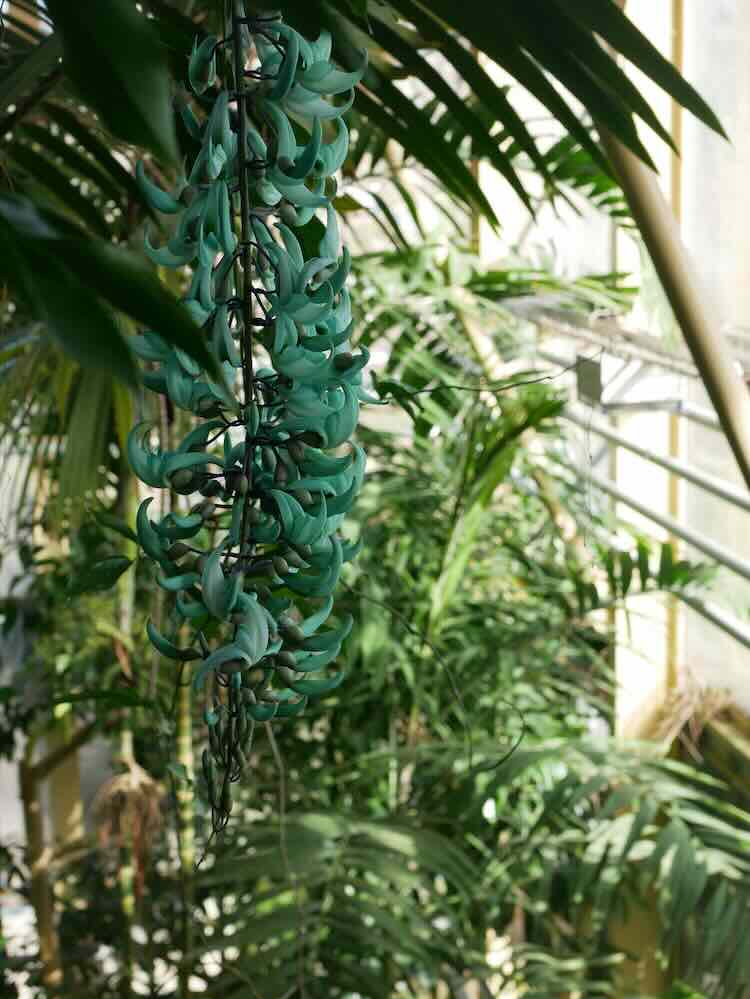 GroenVandaag tweet media