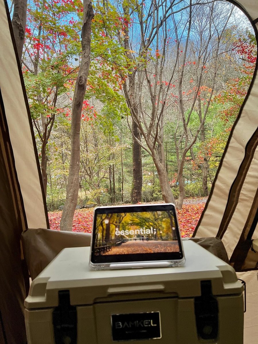 مجودي الملك tweet media