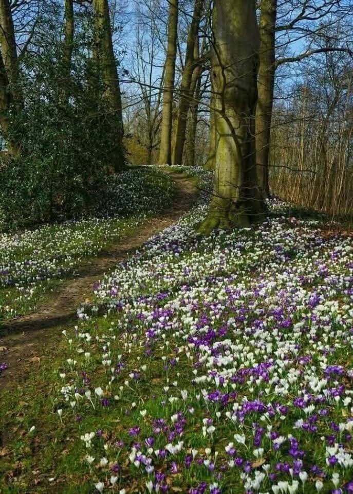 Sandra MiciaMarghe tweet media