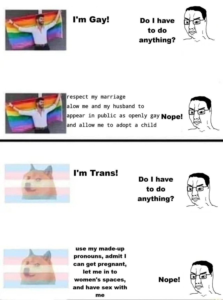 alexredpanda tweet media