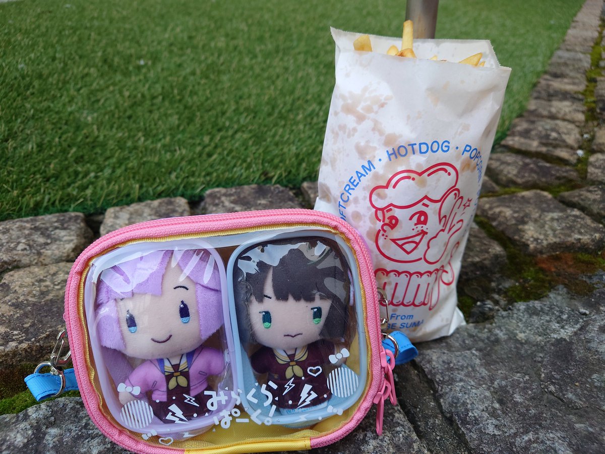 ケルン tweet media