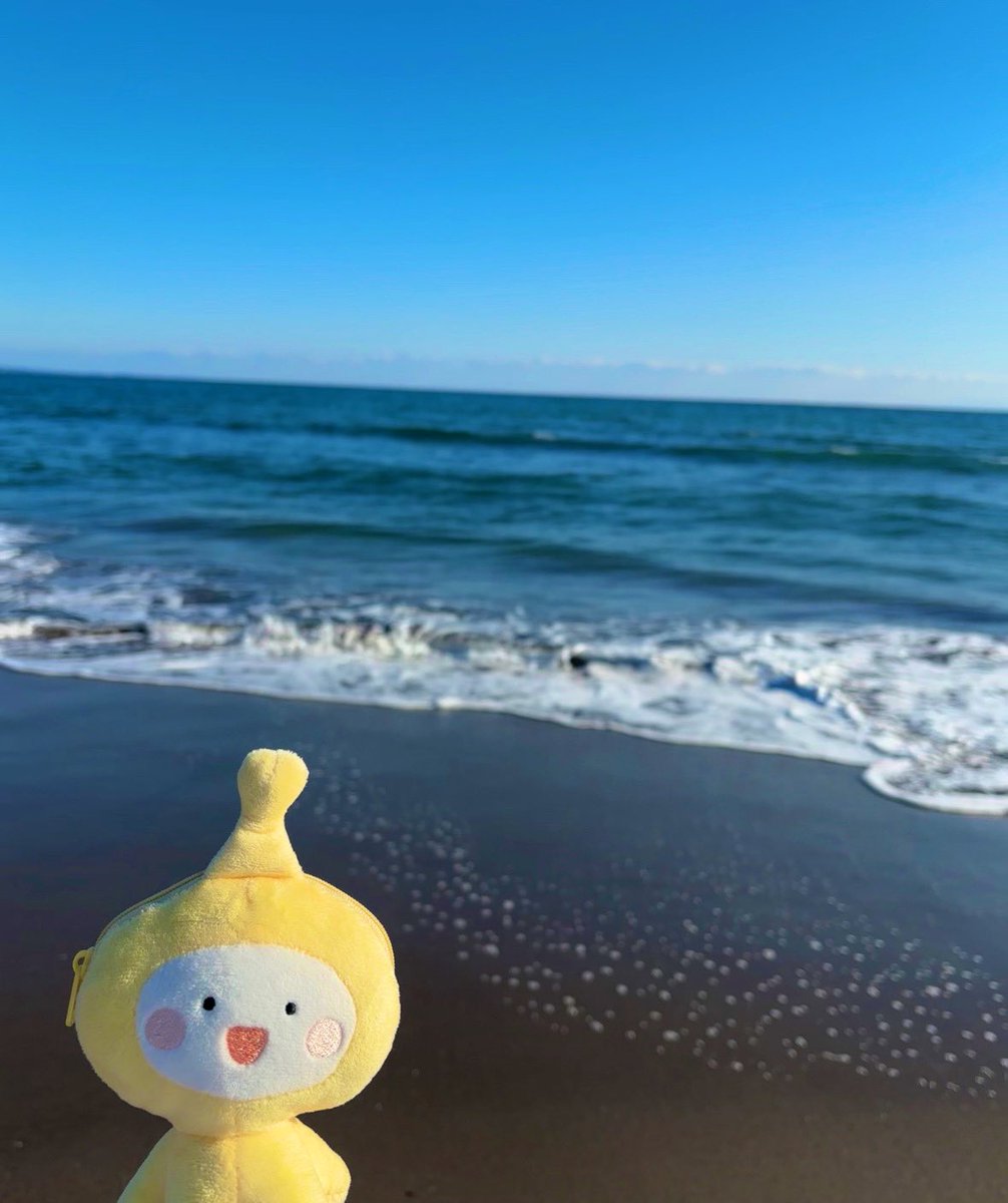 ふか🐳ぽむ先生推し💫 tweet media