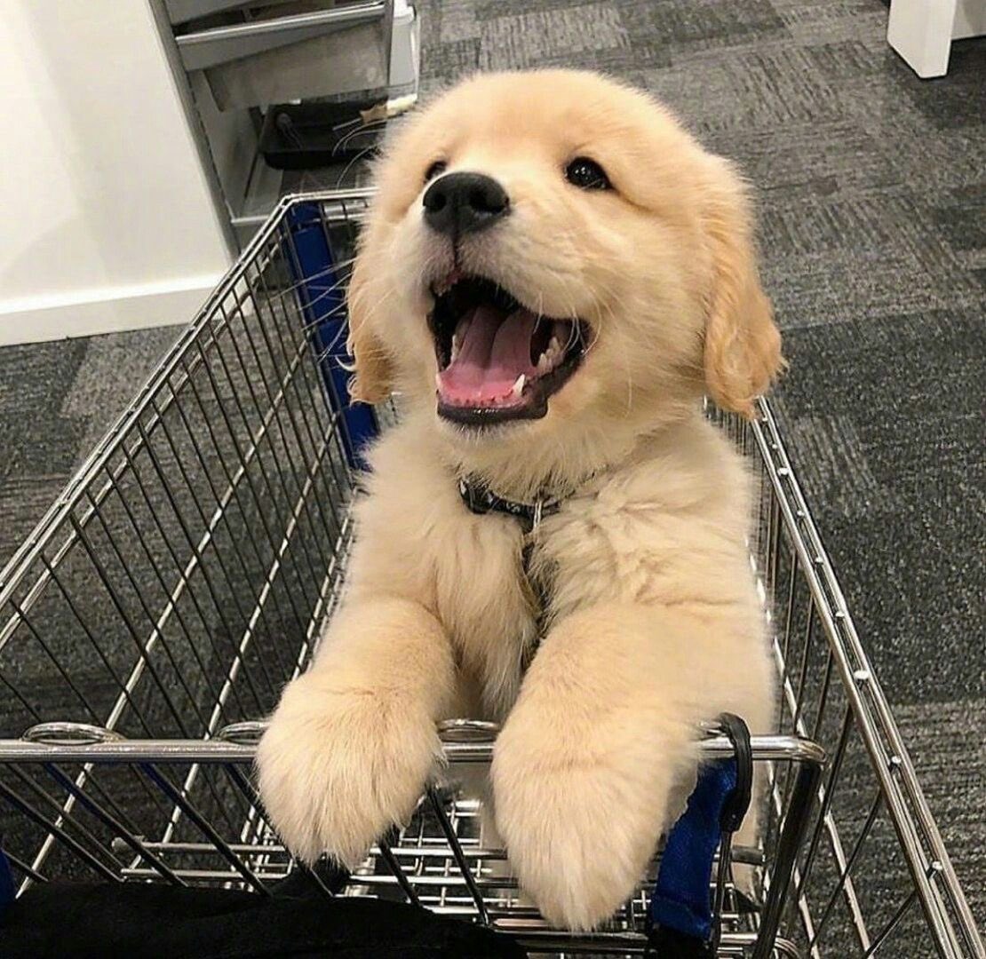 챱츄♡꙼̈ tweet media