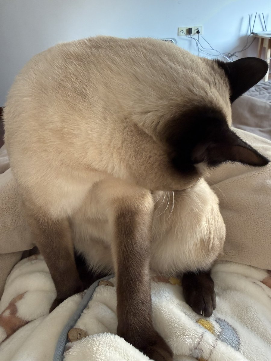 Aaa建材王哥 tweet media