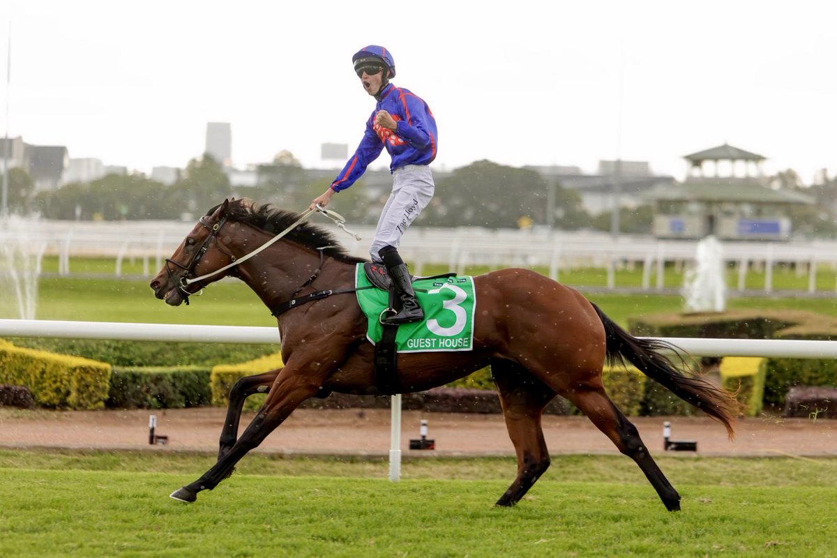 newington_farm's tweet photo. Huge congratulations to @MickPriceRacing &amp; @RolltheDiceRace @rogersbstock with the dominant victory of GUEST HOUSE (Home Affairs) today in the Golden Slipper. We had the pleasure of Breaking in this talented colt @newington_farm in 25’ What a star! ⭐️ https://t.co/G04detKjwm