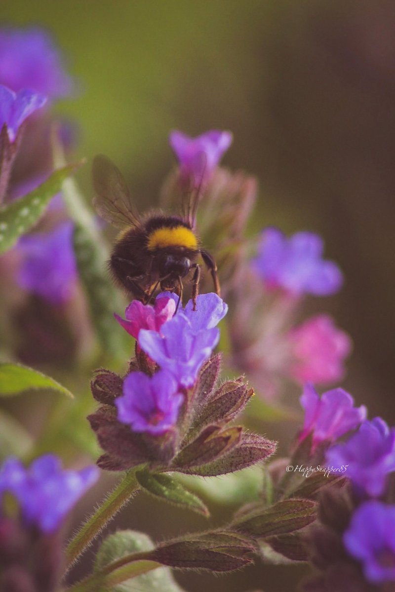 Diana 🦋 tweet media