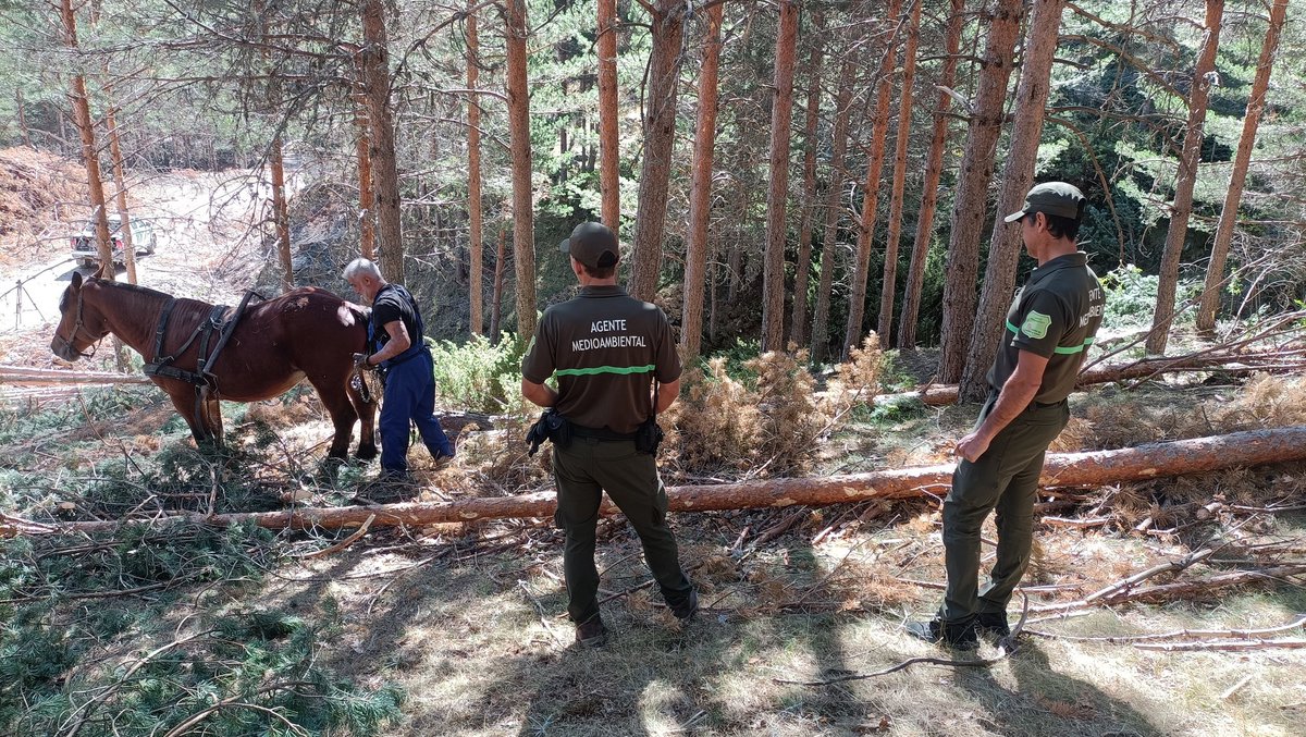 Asociación🇪🇦Agentes Medioambientales tweet media
