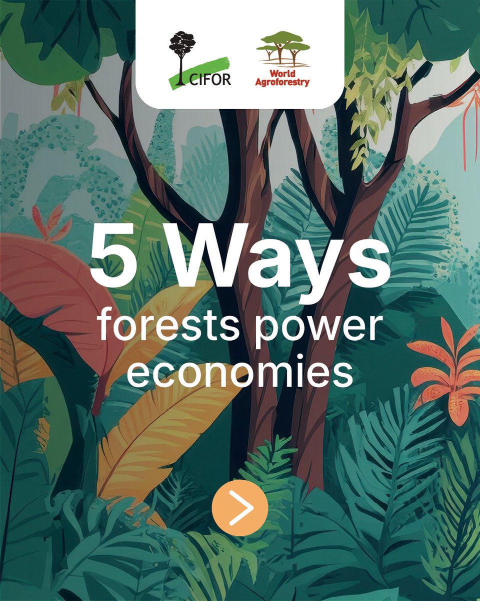 CIFOR-ICRAF tweet media