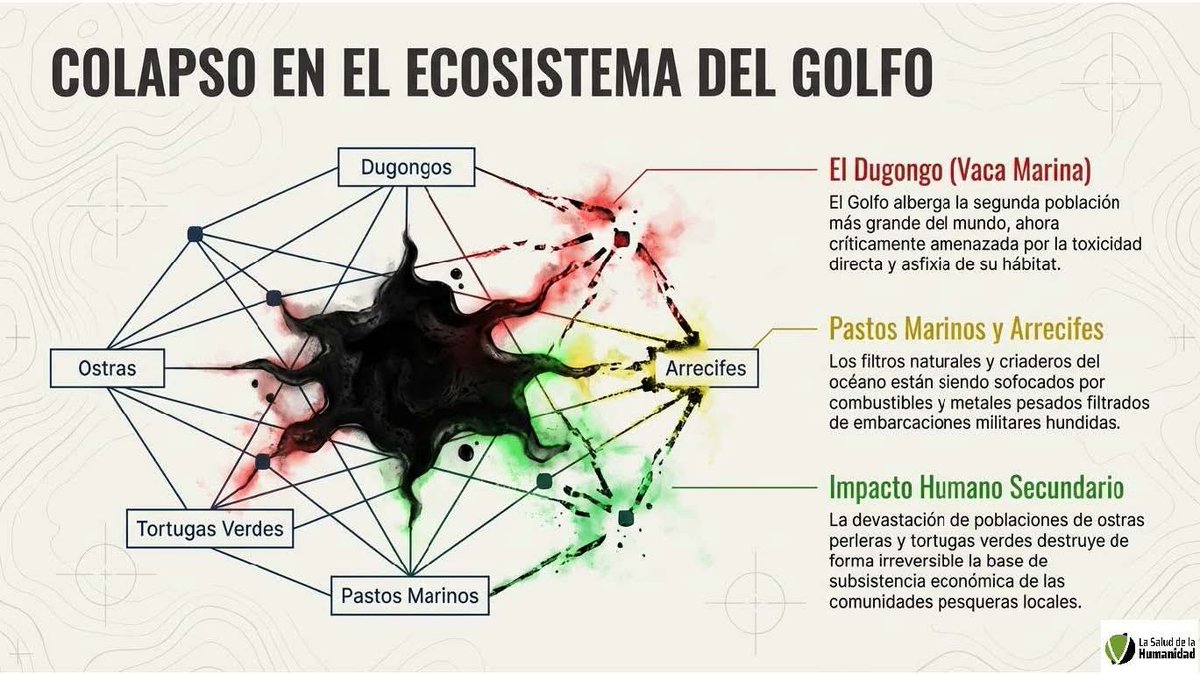 EVA ALADRO tweet media