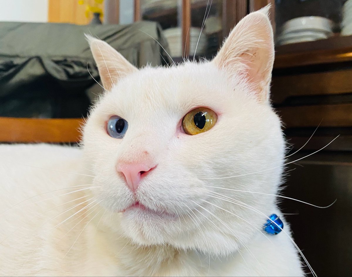 Yuko Sasaki tweet media