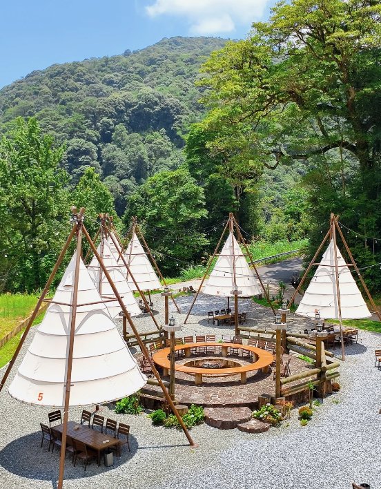 kamilah eley tweet media