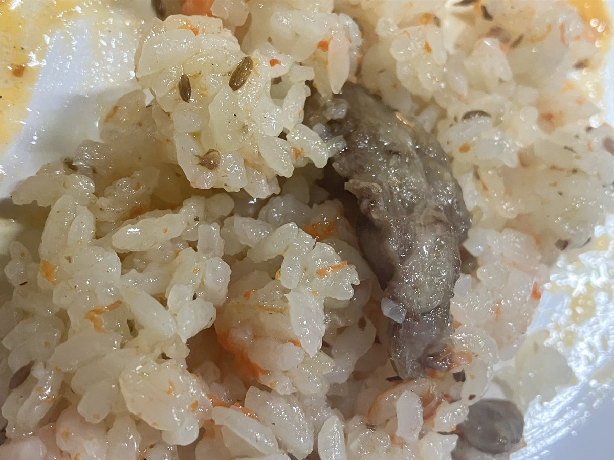 ちーたけ 印度料理と鉄道模型 tweet media