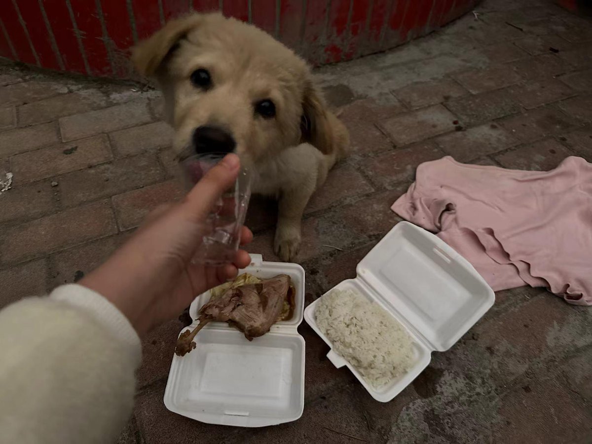 Andy Chua tweet media