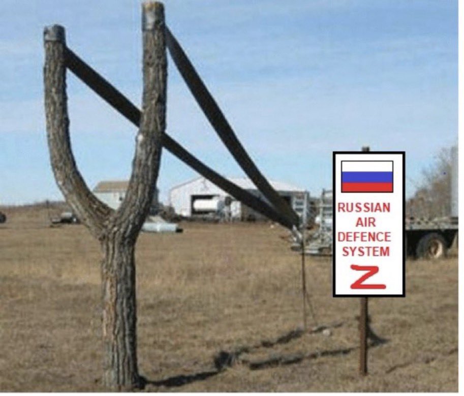 LuckyFella 🏴☠️ bonks faster than the shadow tweet media