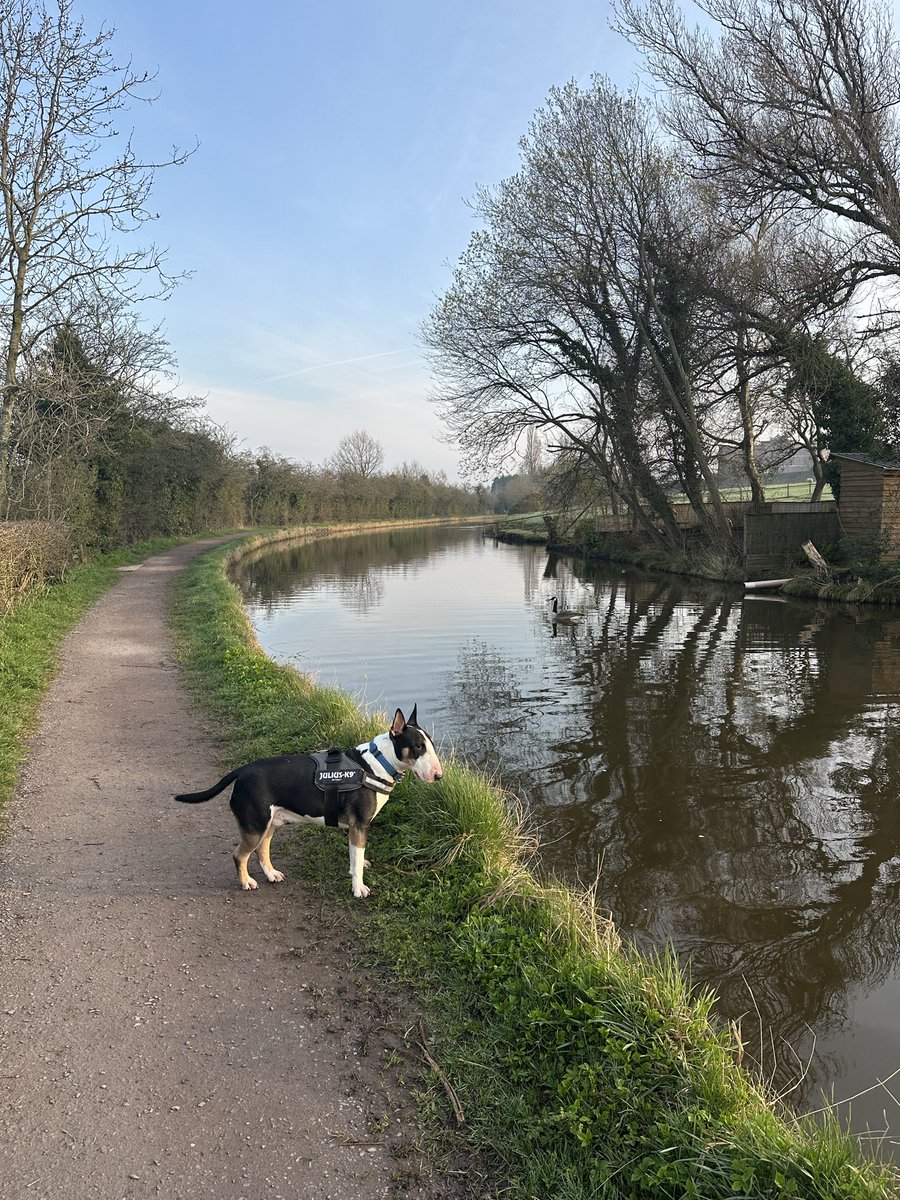 Chris Horn tweet media