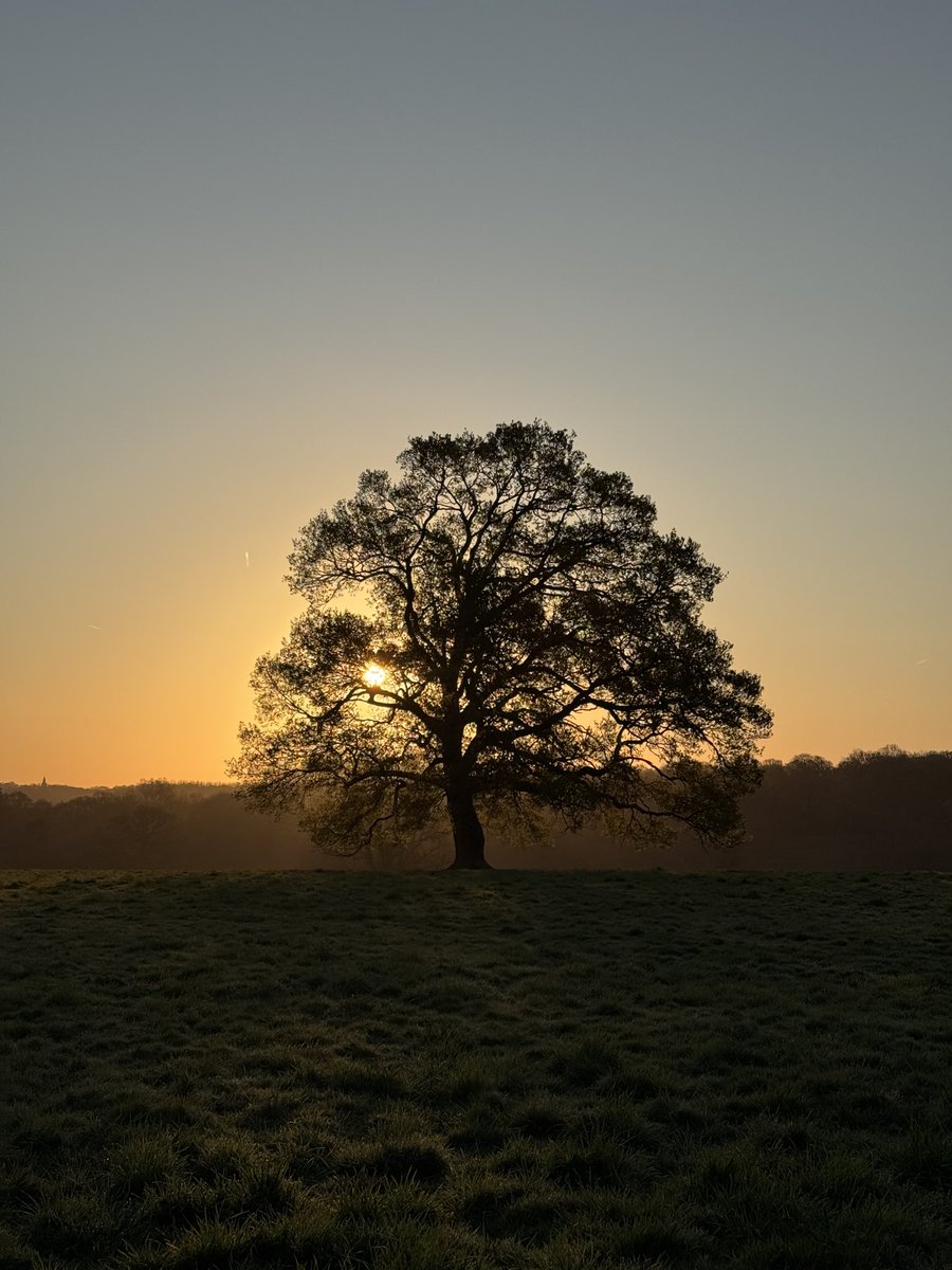 OutsideContextProblem 🍷 tweet media