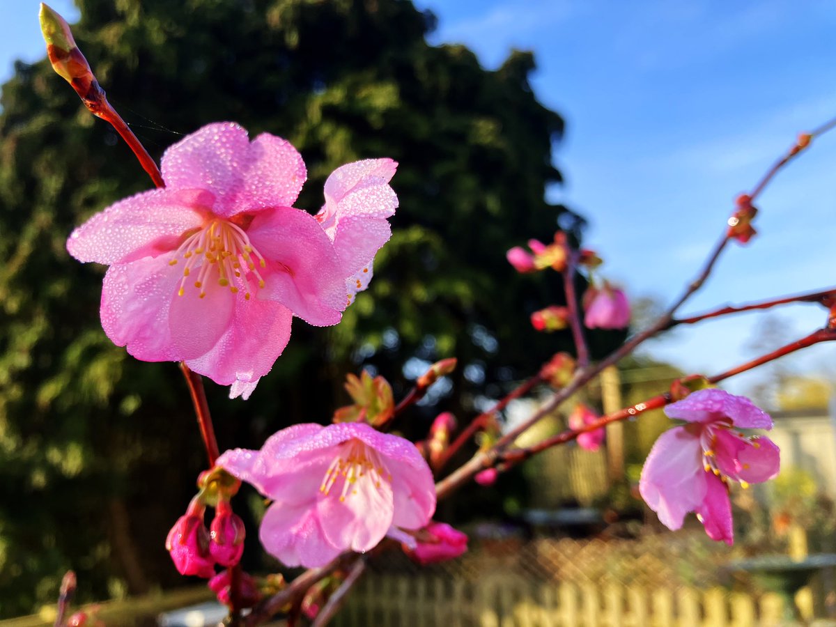 That Flo Woman tweet media