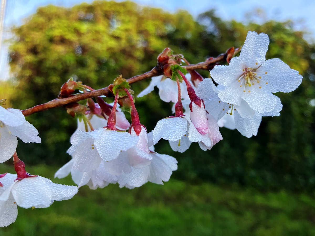 That Flo Woman tweet media