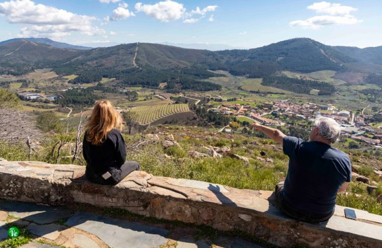 planVE guía de ocio tweet media