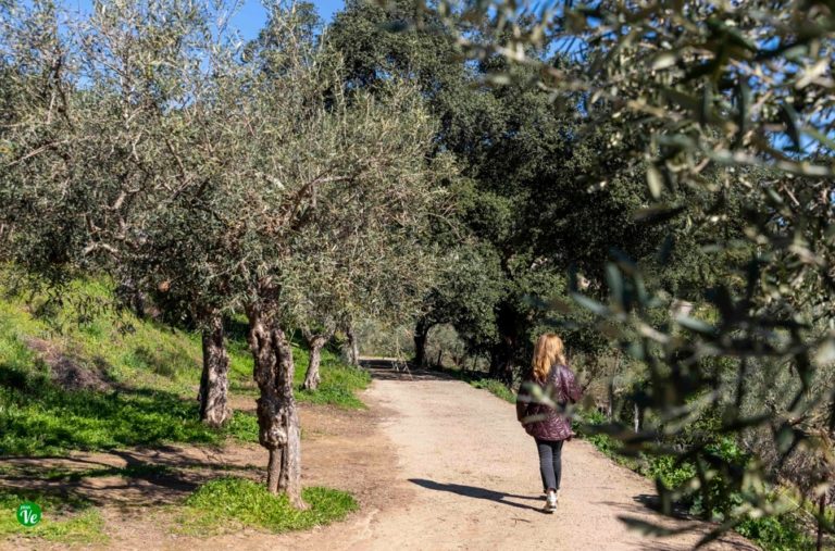 planVE guía de ocio tweet media