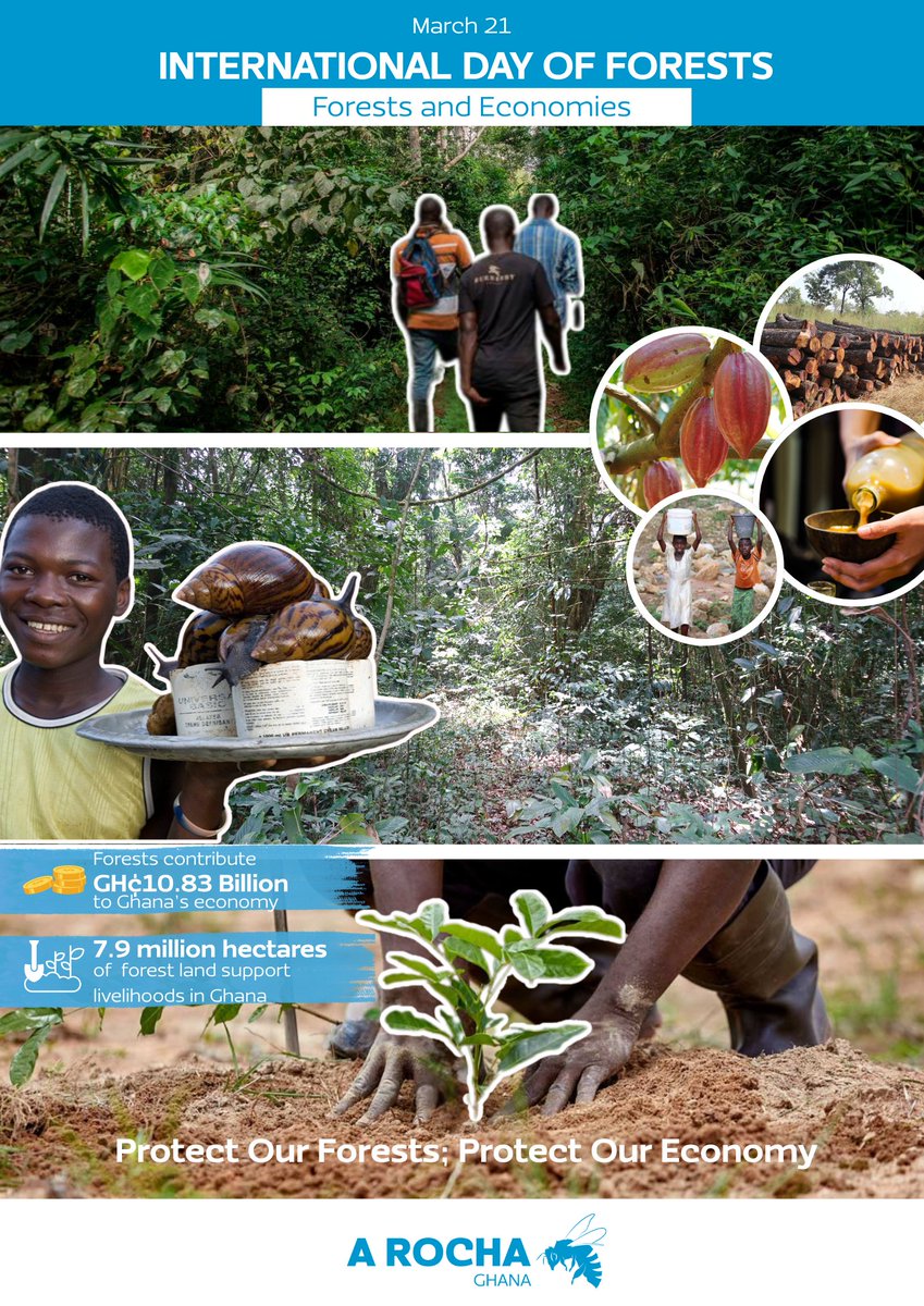 A Rocha Ghana tweet media