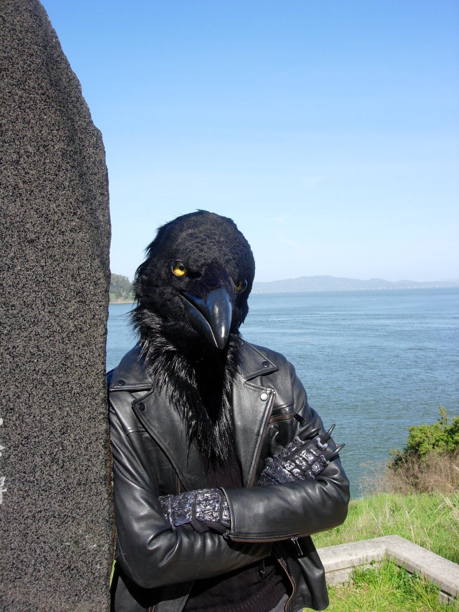 Razar_theRaven's tweet photo. Another beautiful day in the bay! https://t.co/K5clWzC4y9