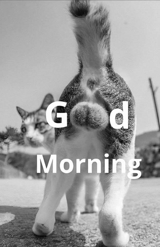 Hansi 🤩🤩 tweet media