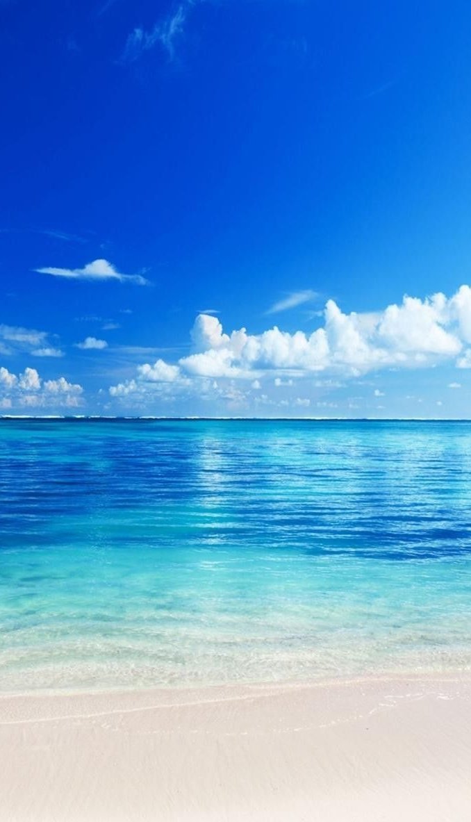 🔴💊 tweet media