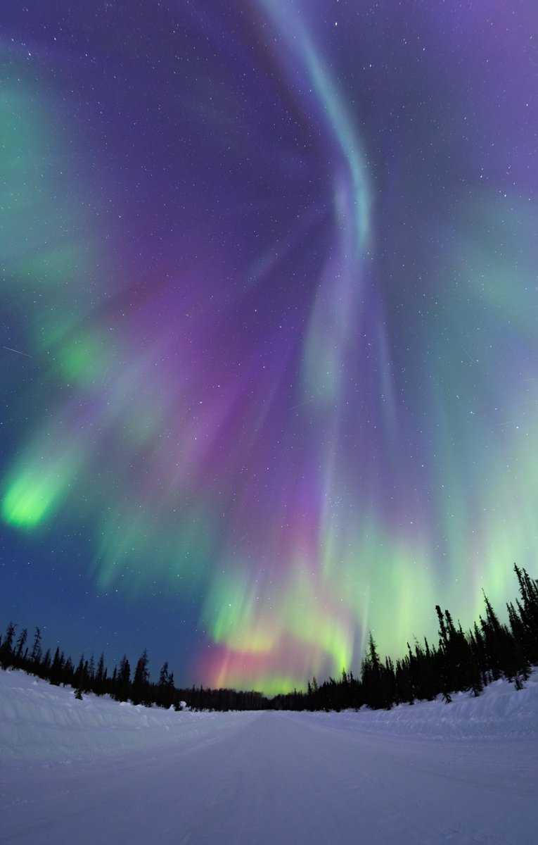 Vincent Ledvina tweet media