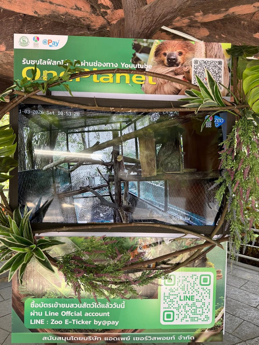 Khamoo.andthegang tweet media