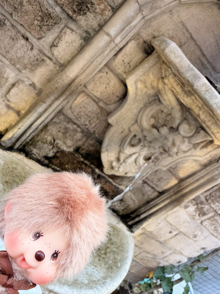 micchie 🍣 🔥 tweet media