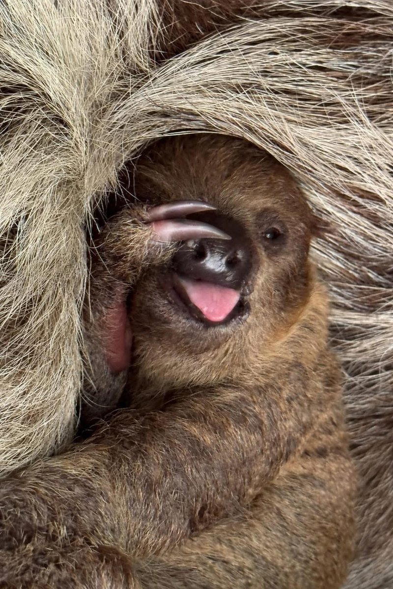 Khamoo.andthegang tweet media