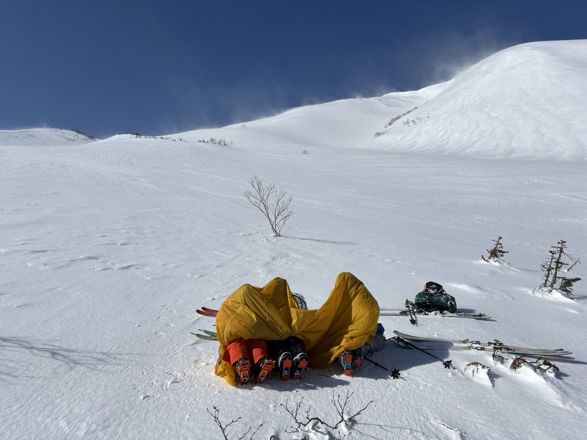 タカティ𝕩 tweet media