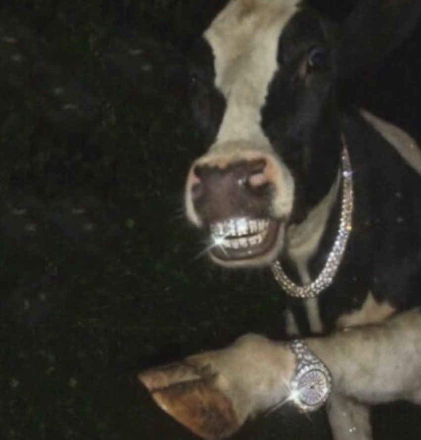 Serf Slayer 🔱 tweet media