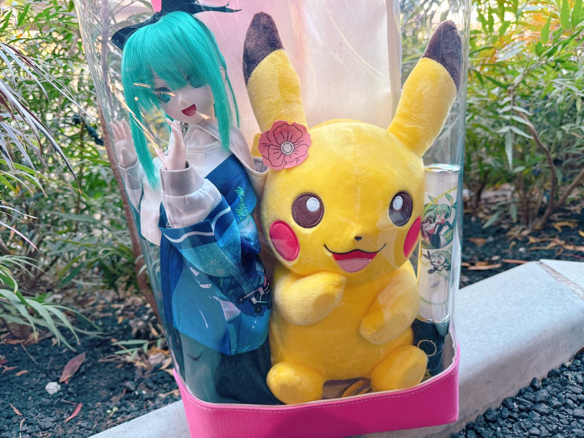 ちゃとわ tweet media