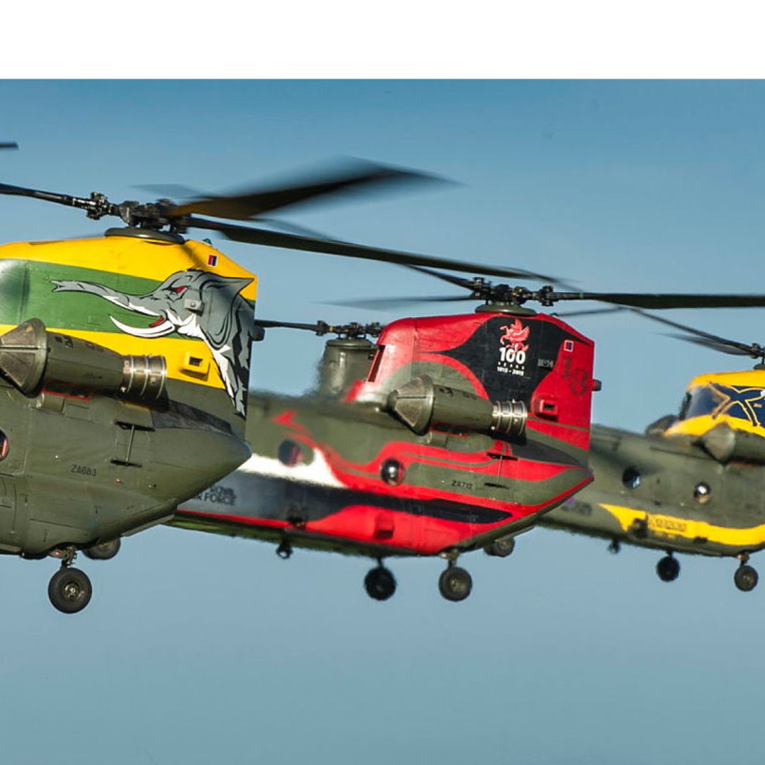 Veterans Month 🇬🇧 tweet media