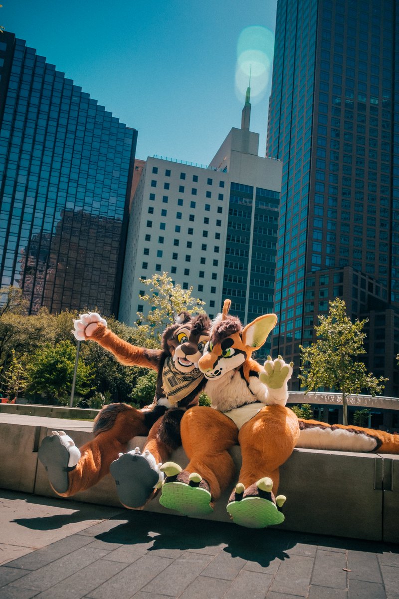 ✨ Ten ✨ Also on 🦋☁️💙 tweet media