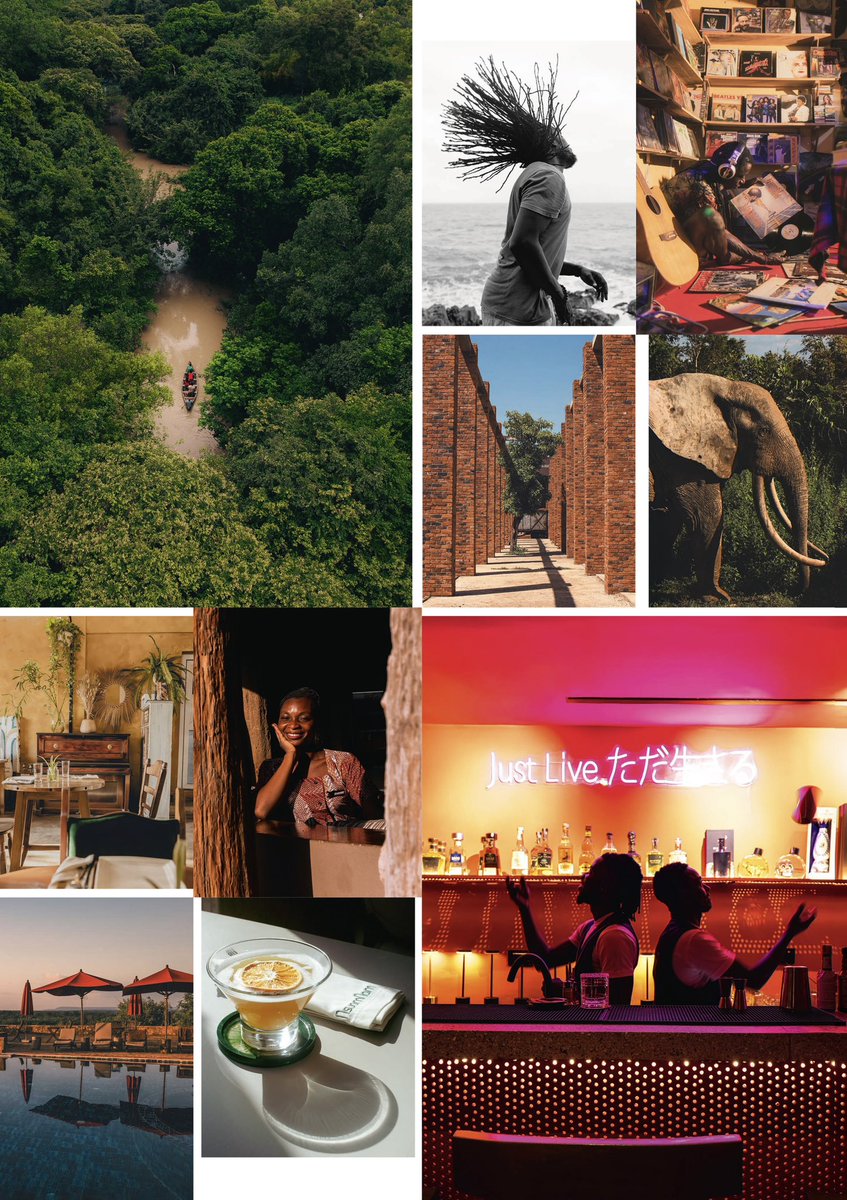 The Royal Senchi tweet media